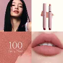 100.webp