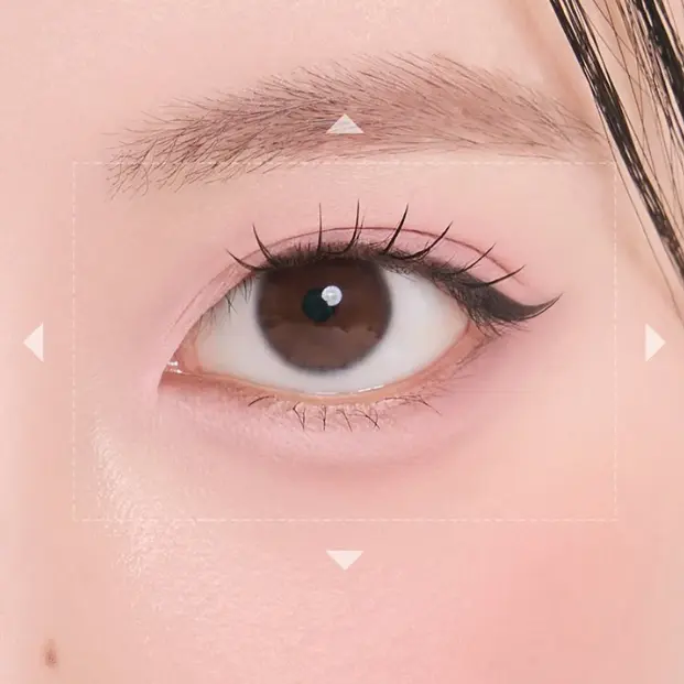 Screenshot 2026-08-13 194507.webp