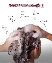 771983719_1053704487586144_5219076399980849586_n.webp