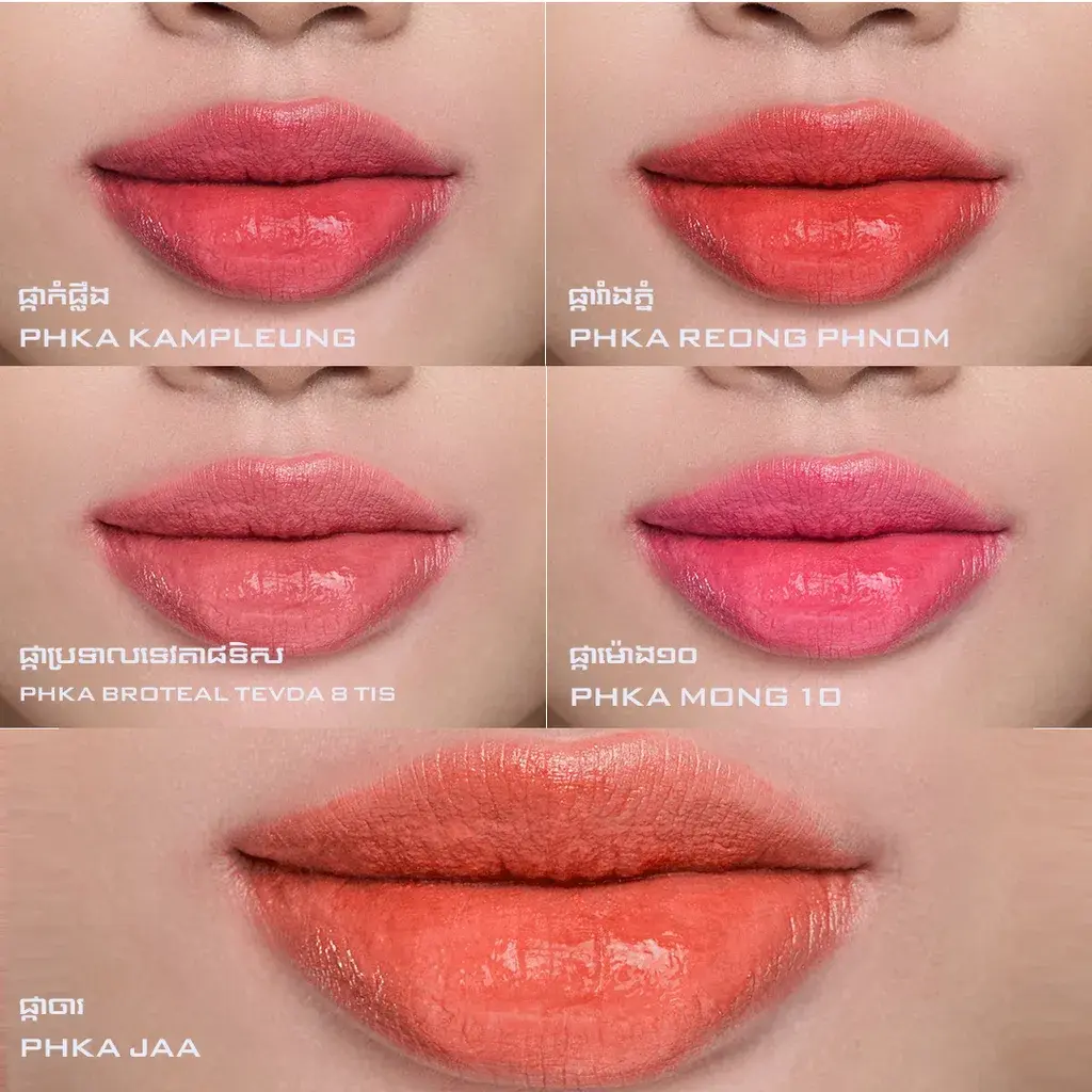 all5.webp