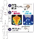 N4.webp