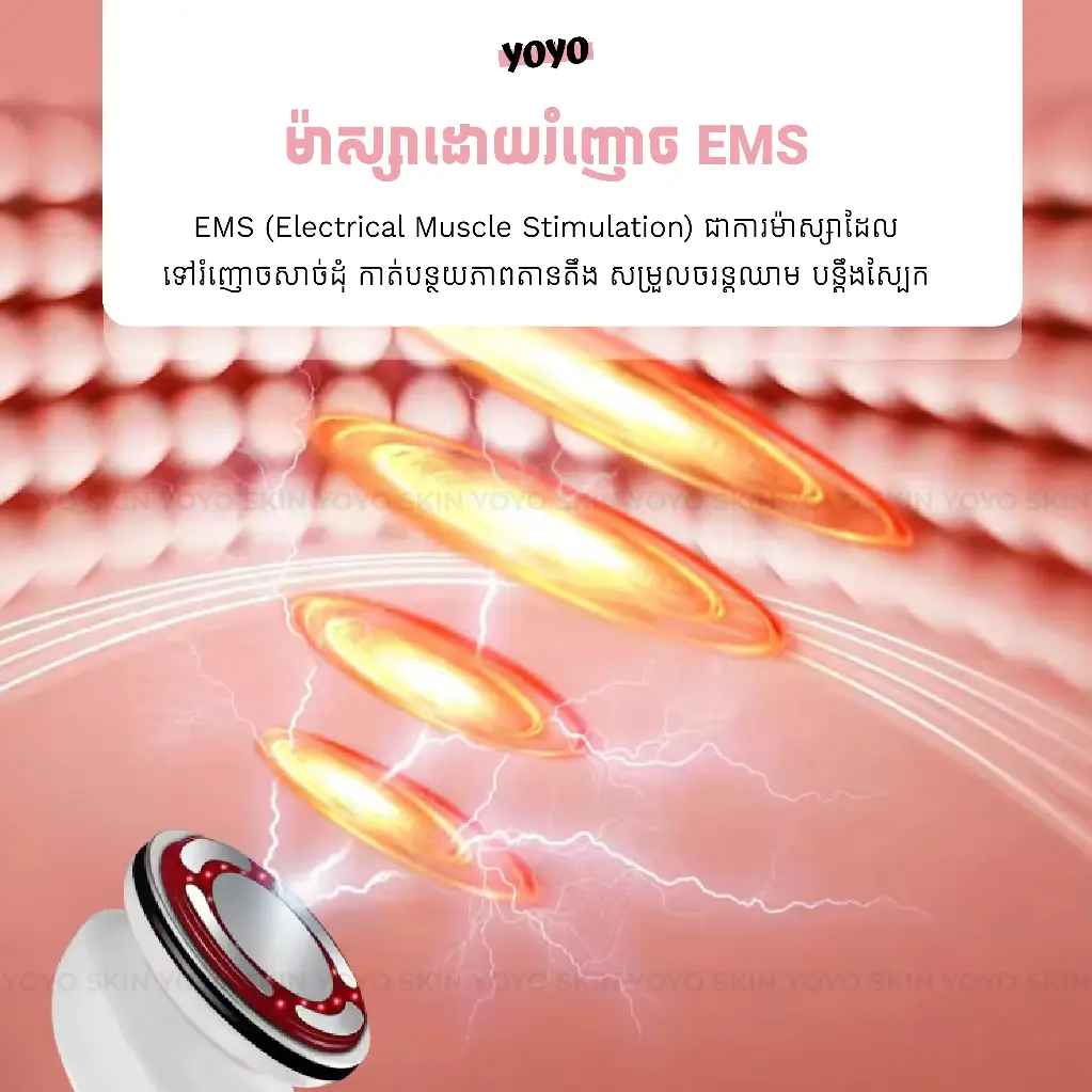 ems3.webp
