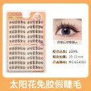 Glue-Free False Eyelashes