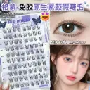 Glue-Free False Eyelashes