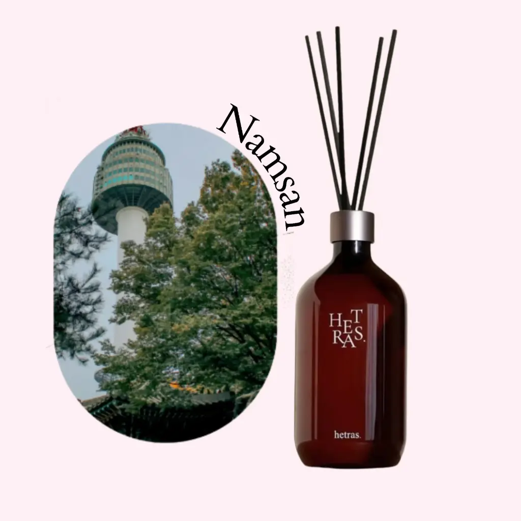 Premium Diffuser - Namsan (500ml*1ea)