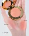 Le Blush Blink Blink