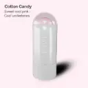 Chic Blush Stick