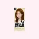 New Hello Cream 10WLB Warm Light Brown 125g