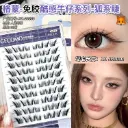 Glue-Free False Eyelashes