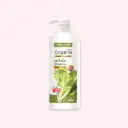 Body Wash Napa Perfume​​-(ស្ពៃធម្មតា) 800ml