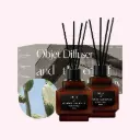 Objet Diffuser-Cactus_(200ml*2ea)